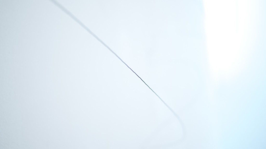 _1070138