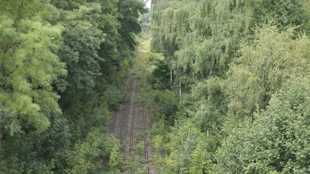 P1090369