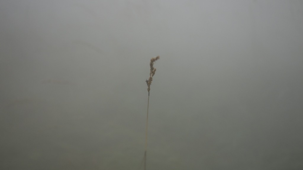 P1110492