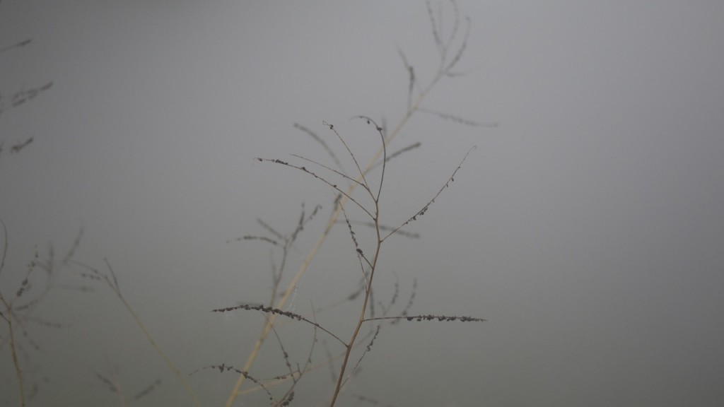 P1110514
